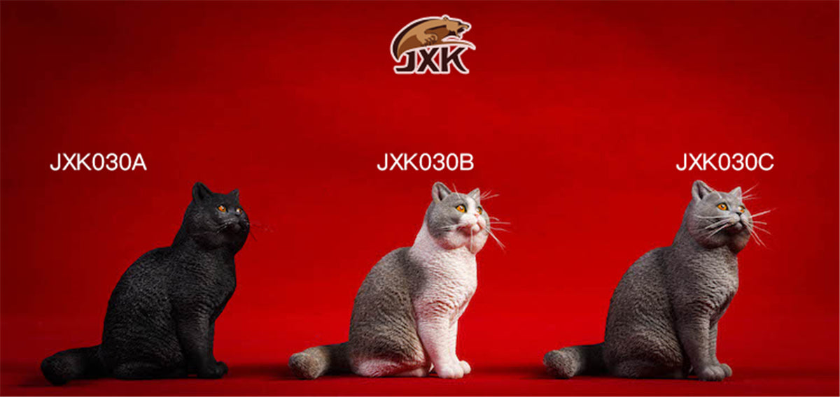 JXK 1/6 British Shorthair Cat Figure