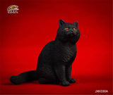 JXK 1/6 British Shorthair Cat Figure