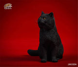 JXK 1/6 British Shorthair Cat Figure