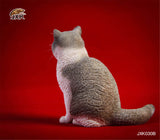 JXK 1/6 British Shorthair Cat Figure