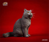 JXK 1/6 British Shorthair Cat Figure