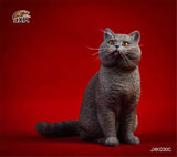 JXK 1/6 British Shorthair Cat Figure