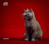 JXK 1/6 British Shorthair Cat Figure