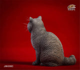 JXK 1/6 British Shorthair Cat Figure