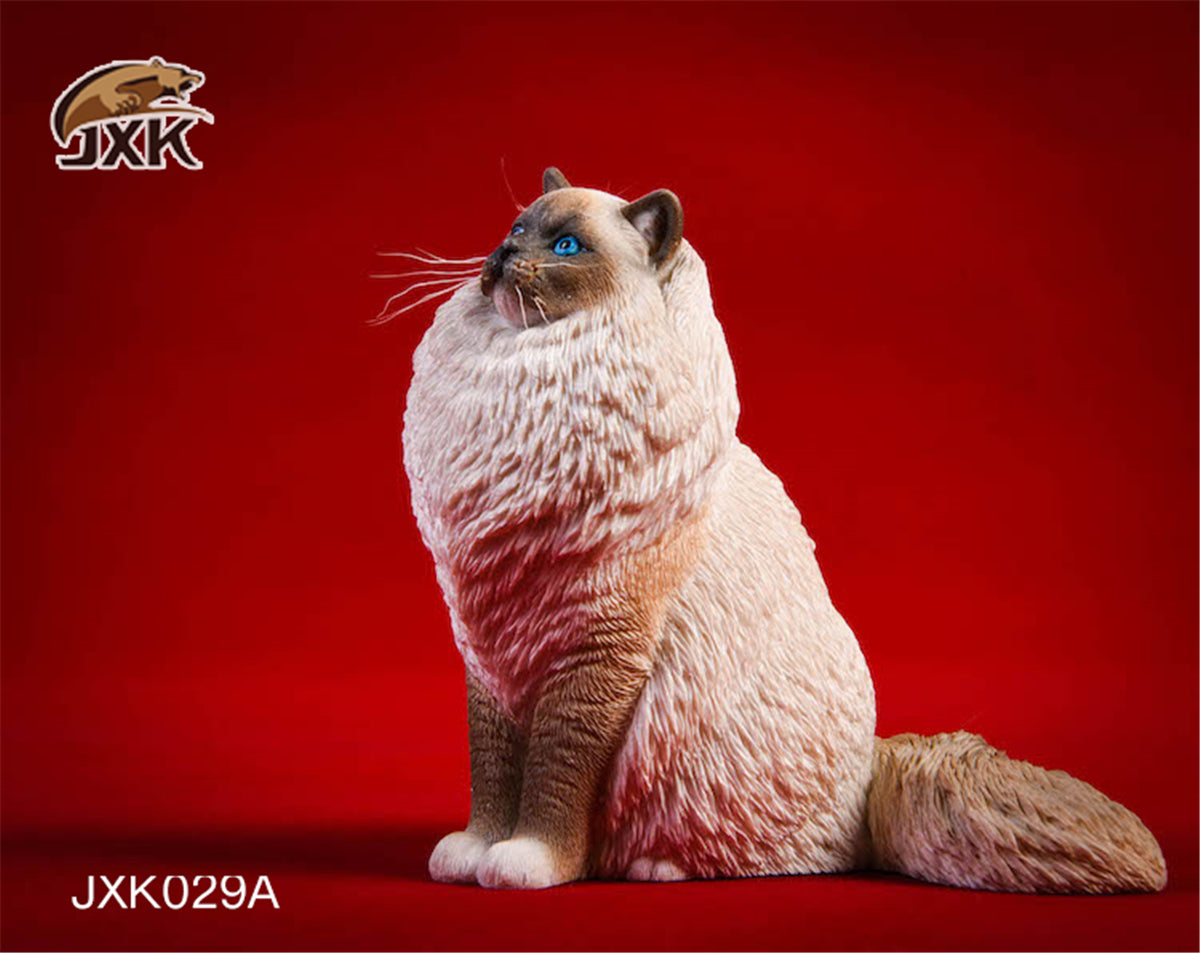 JXK 1/6 Ragdoll Cat Figure