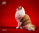 JXK 1/6 Ragdoll Cat Figure