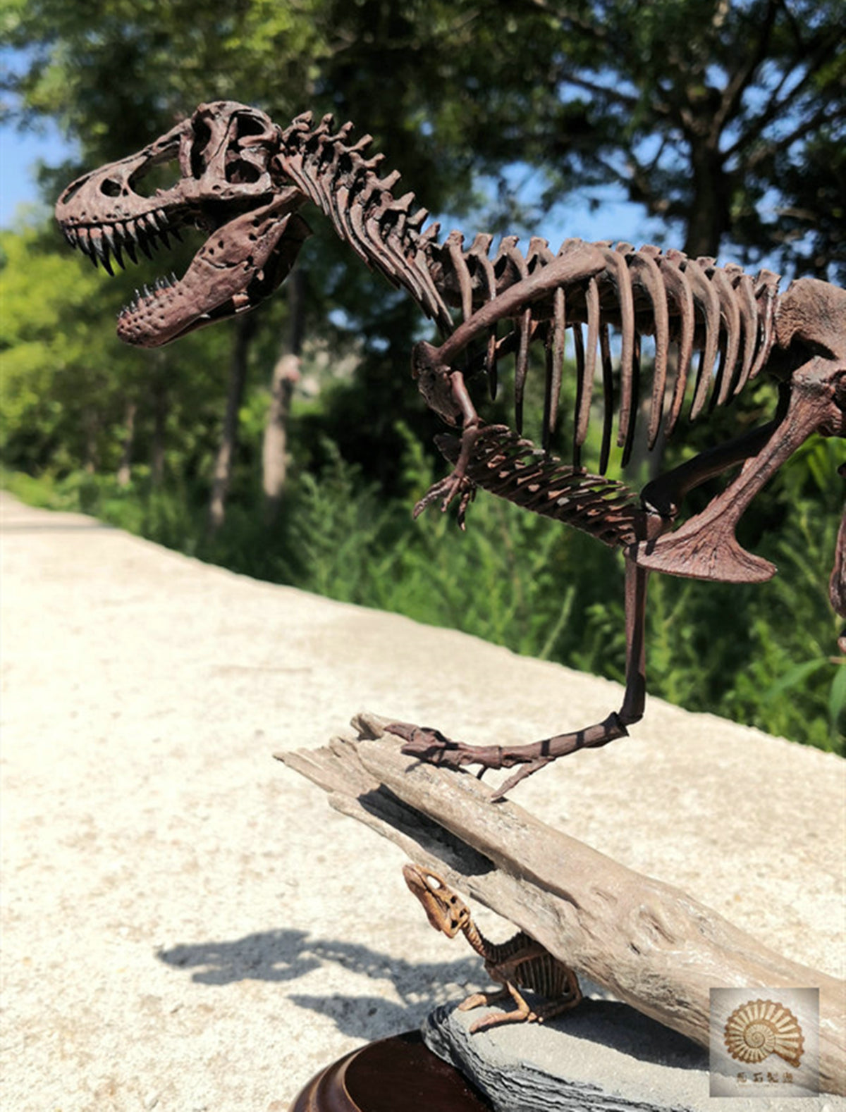 1/25 Tyrannosaurus Rex Hunt Edmontosaurus Fossil Model
