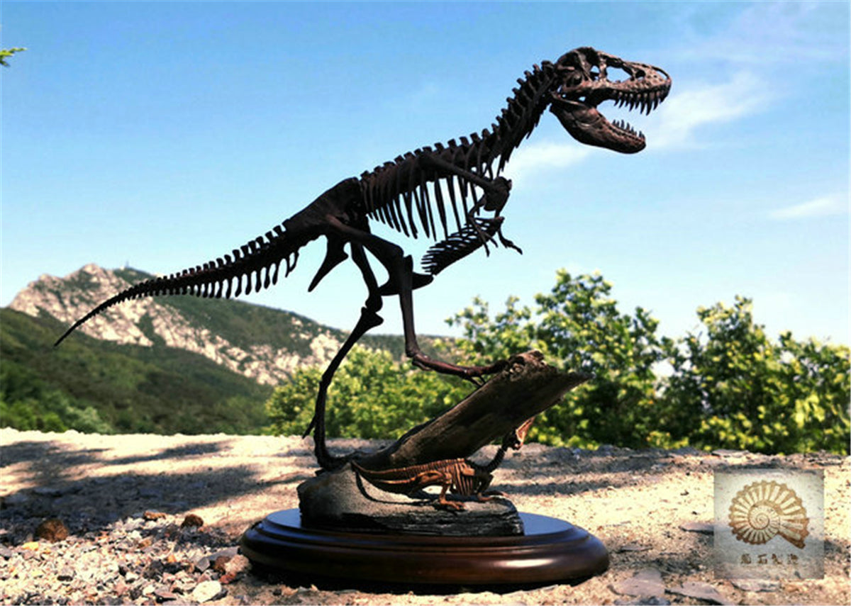1/25 Tyrannosaurus Rex Hunt Edmontosaurus Fossil Model