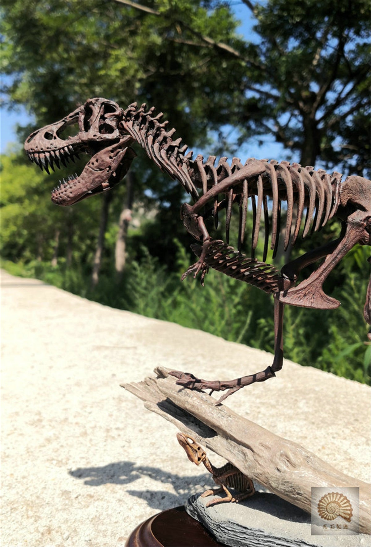 1/25 Tyrannosaurus Rex Hunt Edmontosaurus Fossil Model