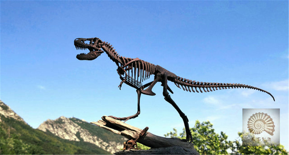 1/25 Tyrannosaurus Rex Hunt Edmontosaurus Fossil Model