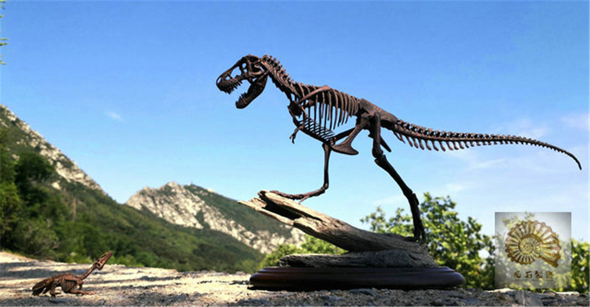 1/25 Tyrannosaurus Rex Hunt Edmontosaurus Fossil Model