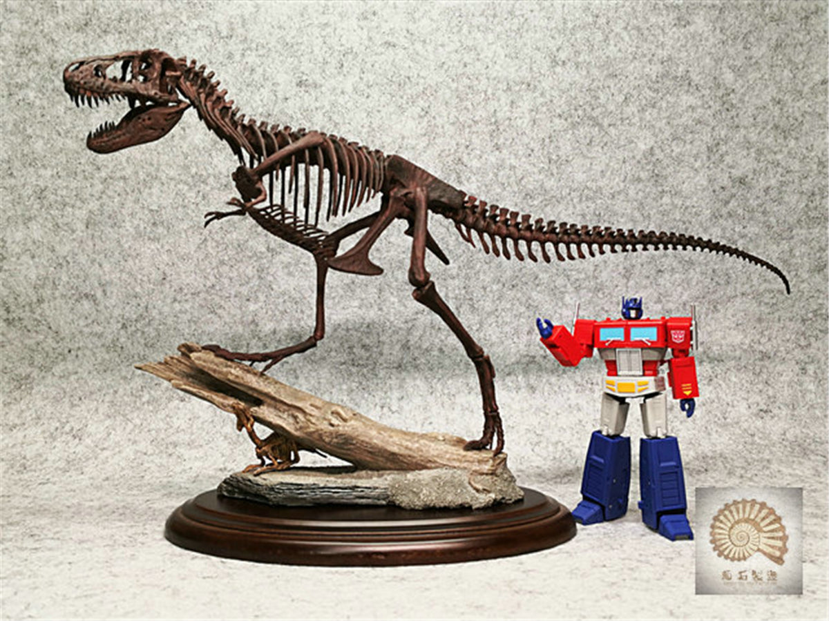 1/25 Tyrannosaurus Rex Hunt Edmontosaurus Fossil Model