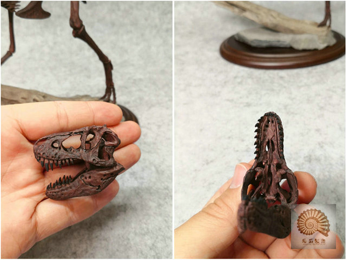 1/25 Tyrannosaurus Rex Hunt Edmontosaurus Fossil Model