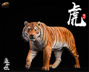 JXK 1/6 Bengal Tiger Figure