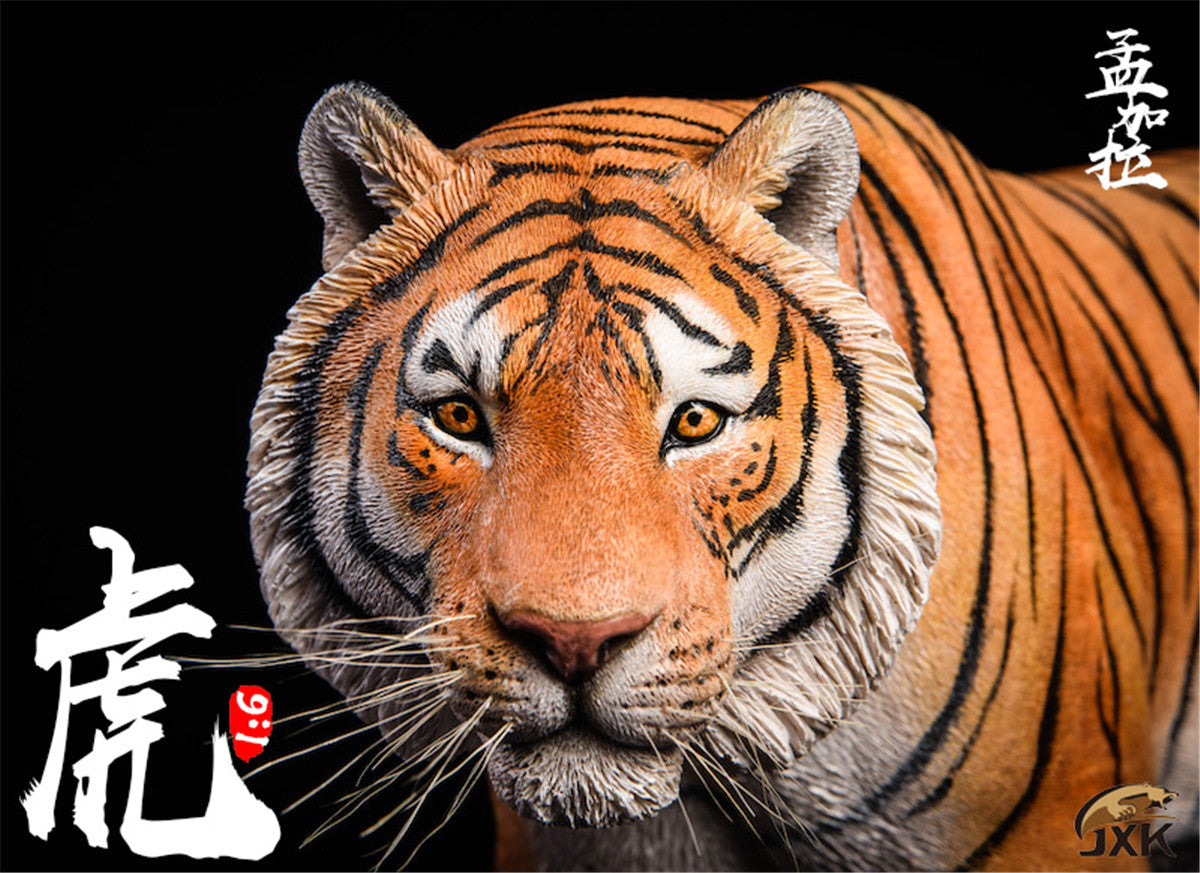 JXK 1/6 Bengal Tiger Figure