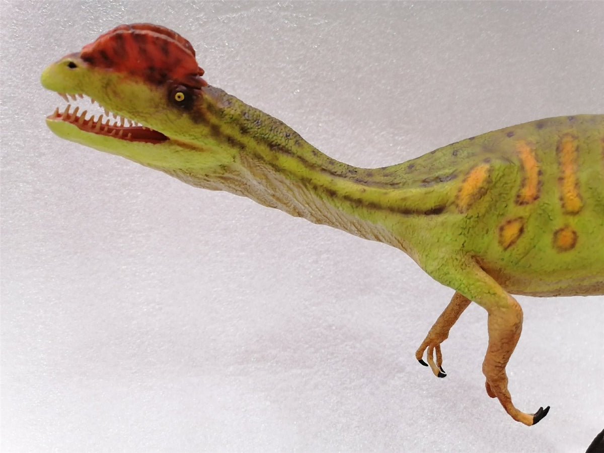 Memory Museum x Planet Earth 1/15 Dilophosaurus Statue