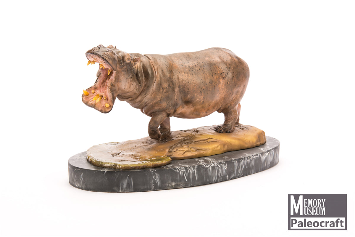 Memory Museum x Paleocraft 1/15 Hippopotamus Statue