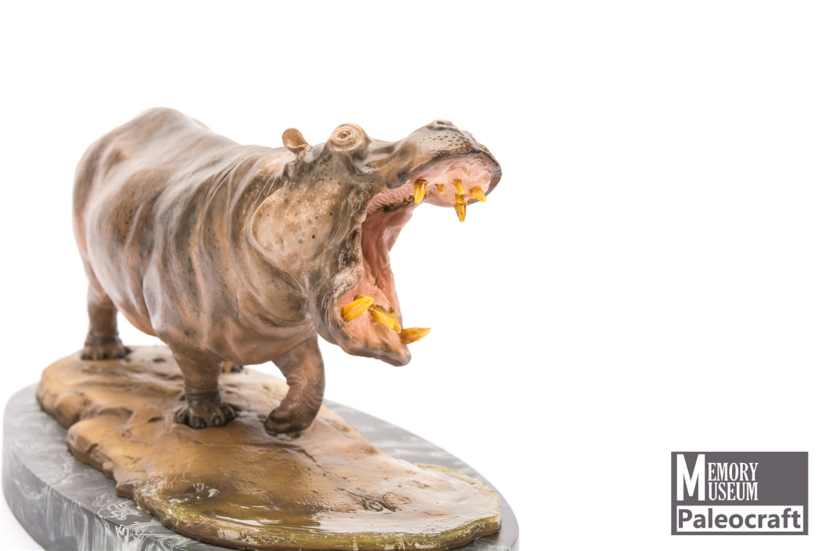 Memory Museum x Paleocraft 1/15 Hippopotamus Statue