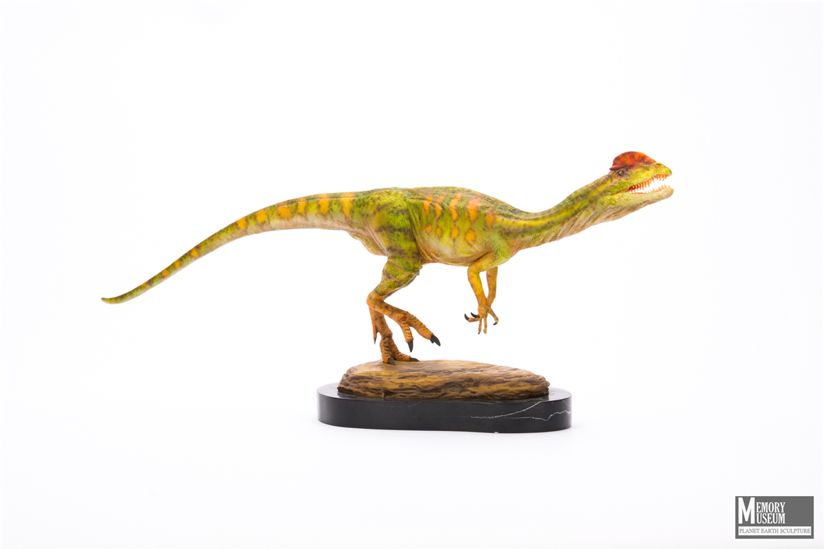 Memory Museum x Planet Earth 1/15 Dilophosaurus Statue