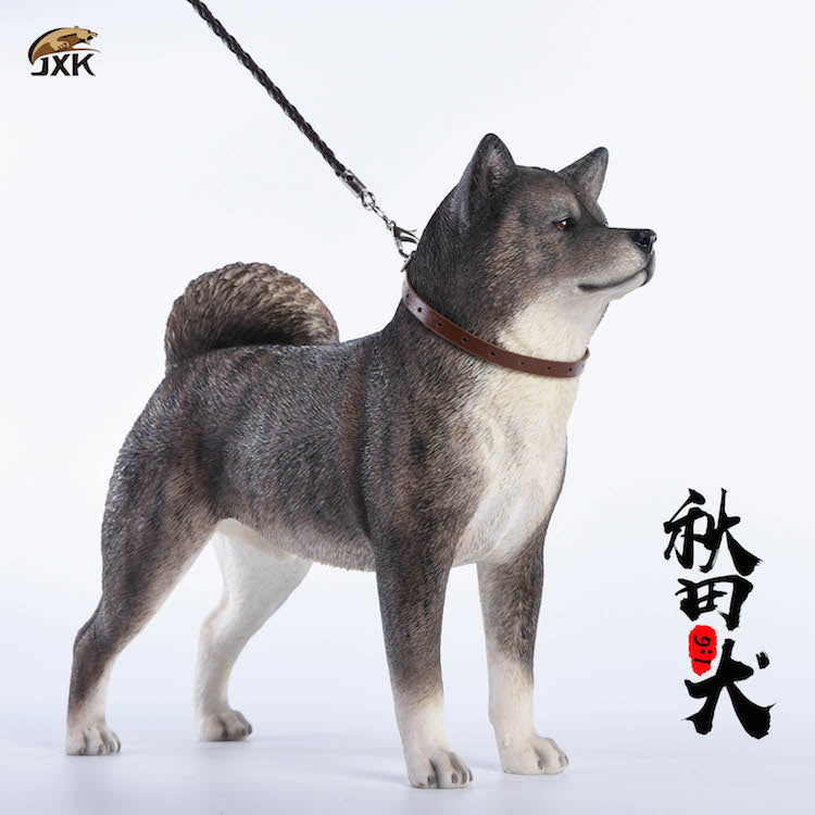 JXK 1/6 Japanese Akita Dog Figure