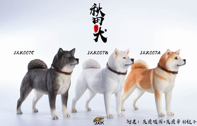 JXK 1/6 Japanese Akita Dog Figure