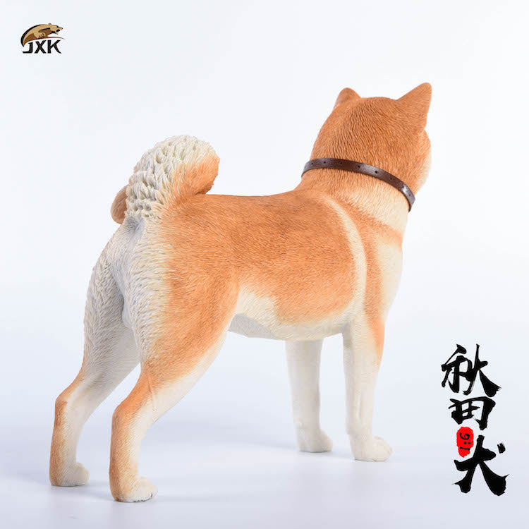 JXK 1/6 Japanese Akita Dog Figure