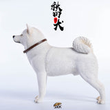 JXK 1/6 Japanese Akita Dog Figure