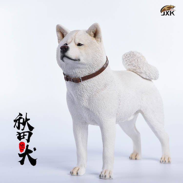 JXK 1/6 Japanese Akita Dog Figure
