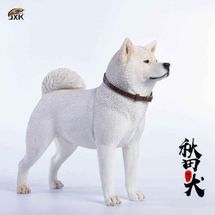 JXK 1/6 Japanese Akita Dog Figure