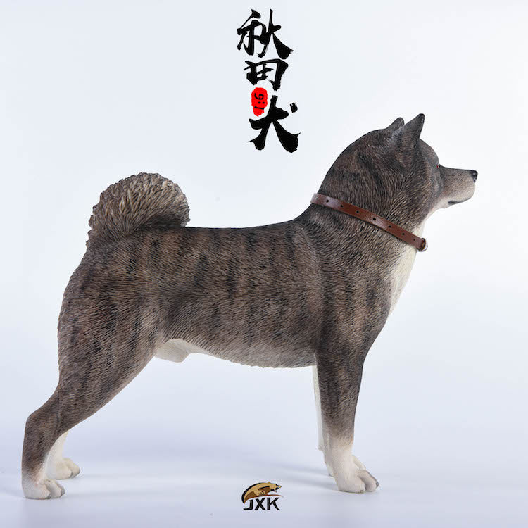 JXK 1/6 Japanese Akita Dog Figure