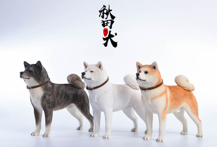 JXK 1/6 Japanese Akita Dog Figure