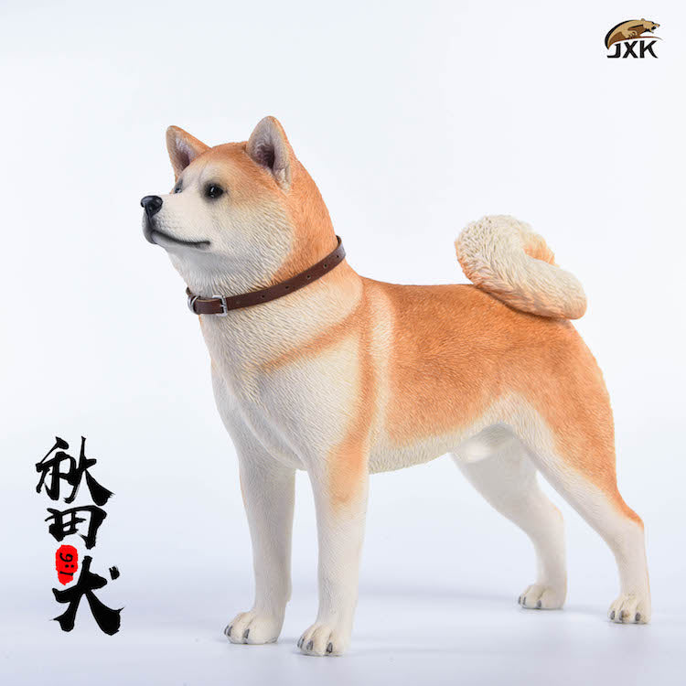 JXK 1/6 Japanese Akita Dog Figure