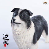 JxK 1/6 Border Collie Figure