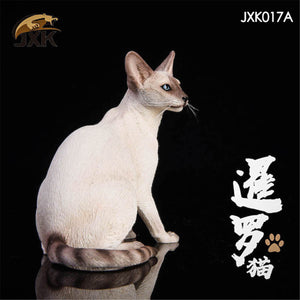 JXK 1/6 Siamese Cat Figure