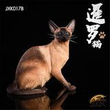 JXK 1/6 Siamese Cat Figure