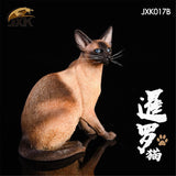 JXK 1/6 Siamese Cat Figure