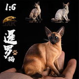 JXK 1/6 Siamese Cat Figure