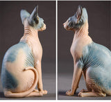JXK Canadian Hairless Cat Figure