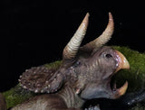 Nasutoceratops Bull Pose Statue