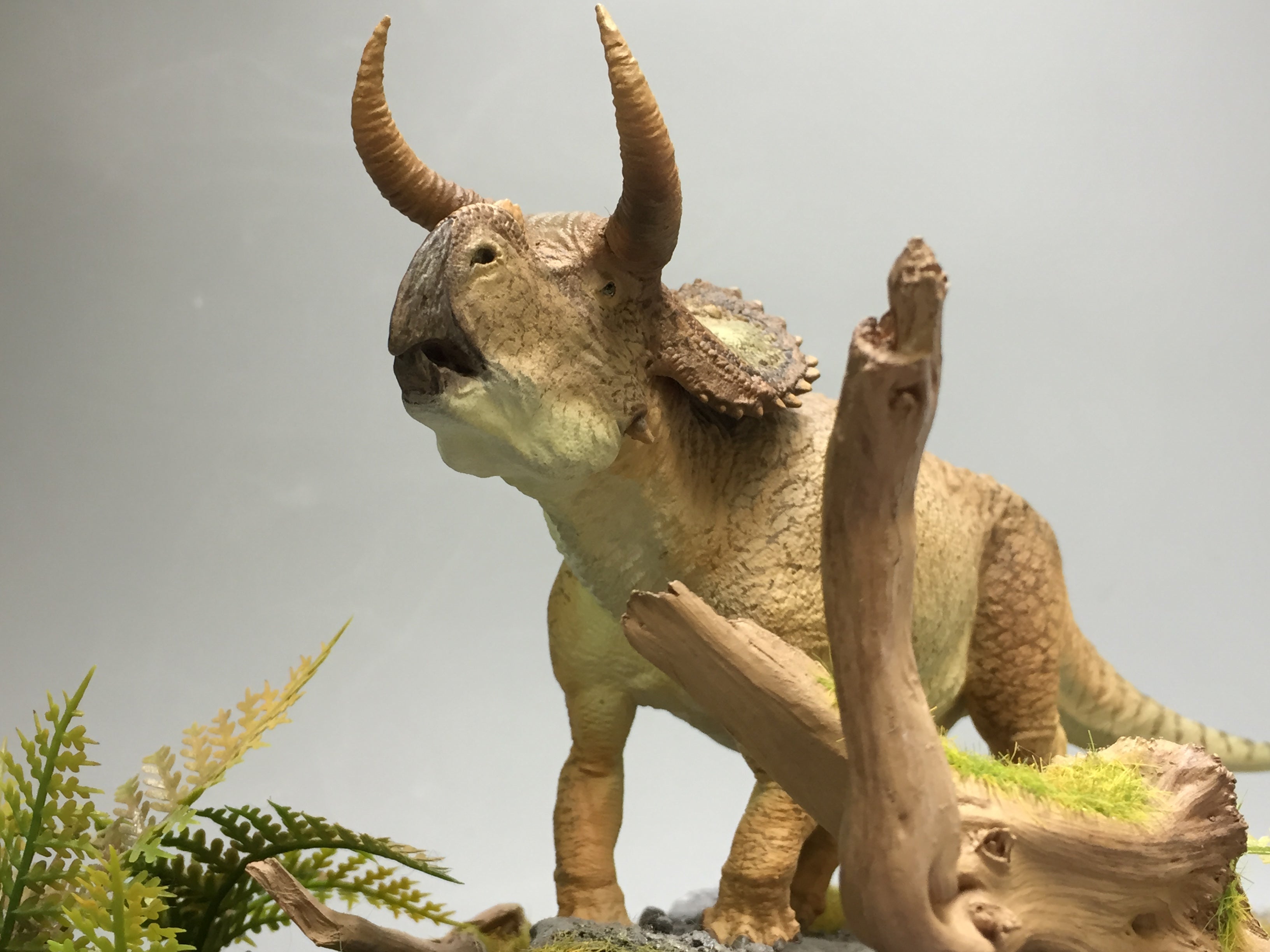 Nasutoceratops Graze Pose Statue