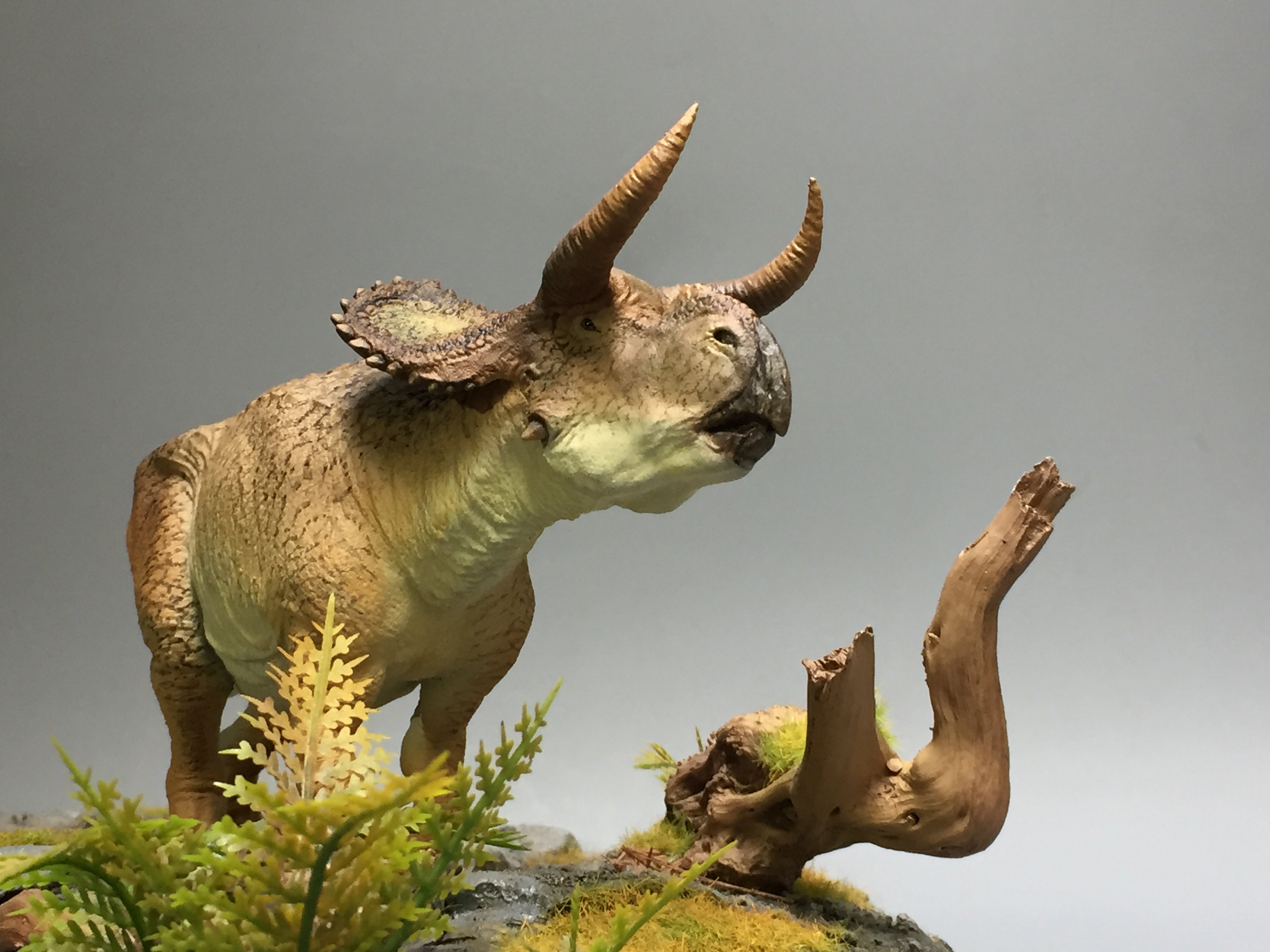 Nasutoceratops Graze Pose Statue