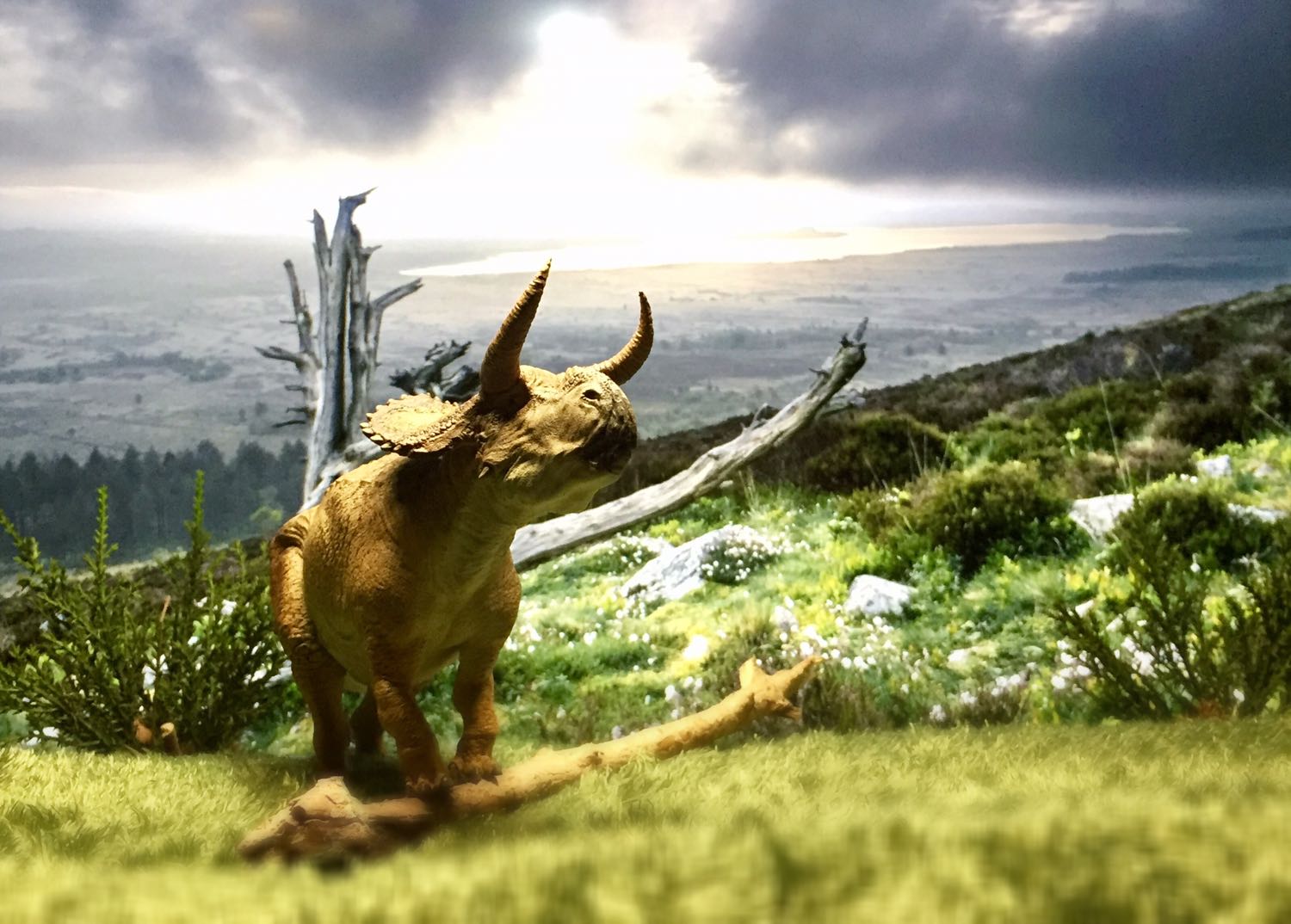 Nasutoceratops Graze Pose Statue