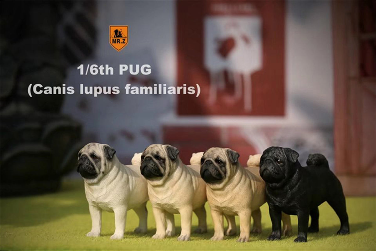 Mr.Z 1/6 Pug Dog Figure