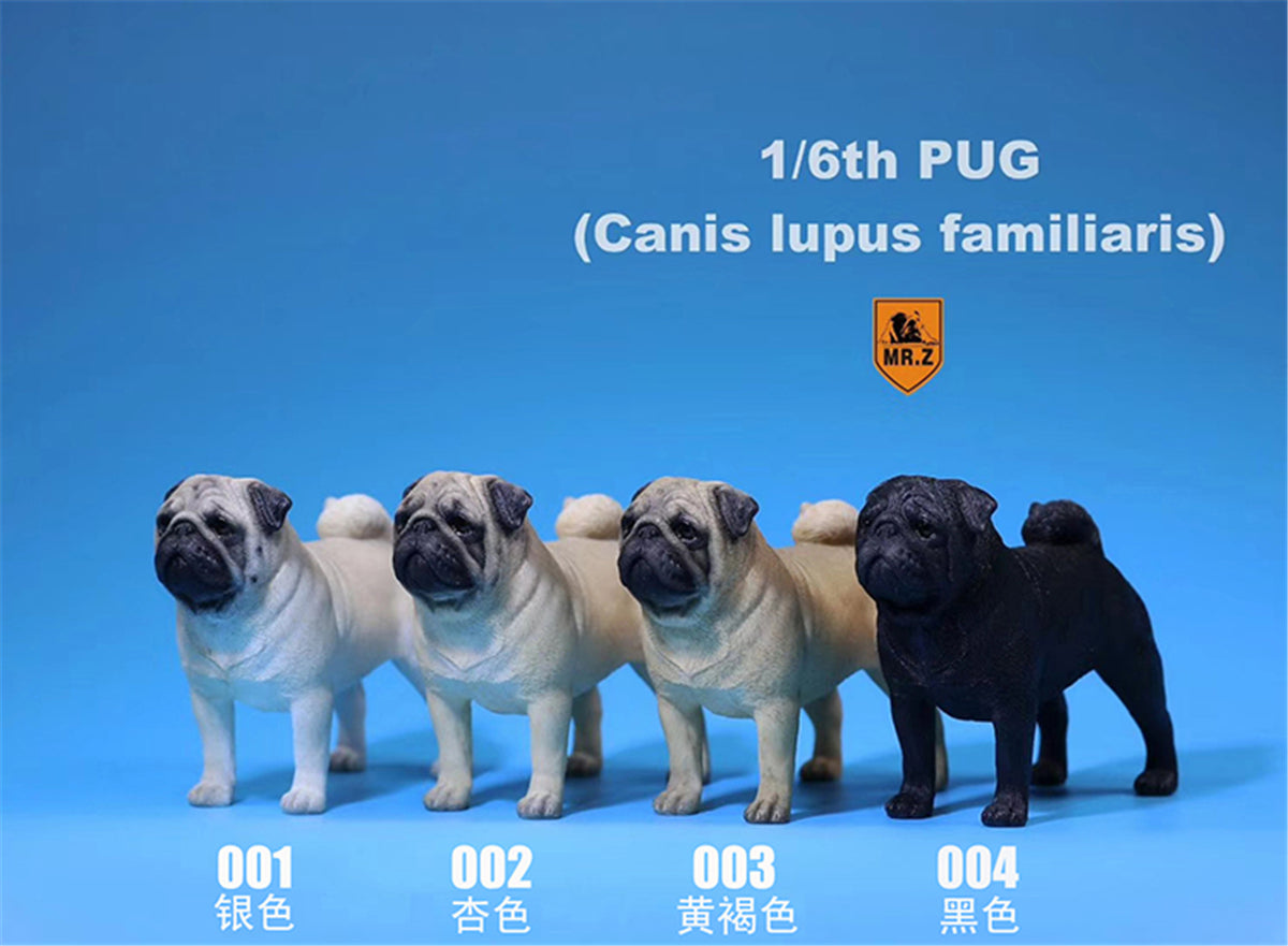 Mr.Z 1/6 Pug Dog Figure
