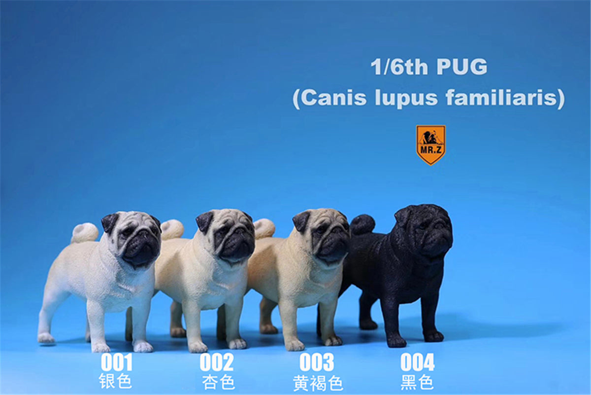 Mr.Z 1/6 Pug Dog Figure