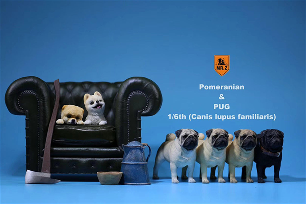 Mr.Z 1/6 Pug Dog Figure