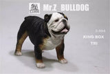 Mr.Z 1/6 British Bulldog Figure