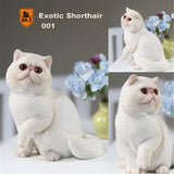 Mr.Z Exotic Shorthair Cat Figure