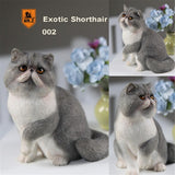 Mr.Z Exotic Shorthair Cat Figure