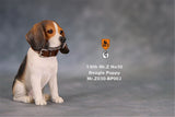 Mr.Z Beagle Puppy Figure